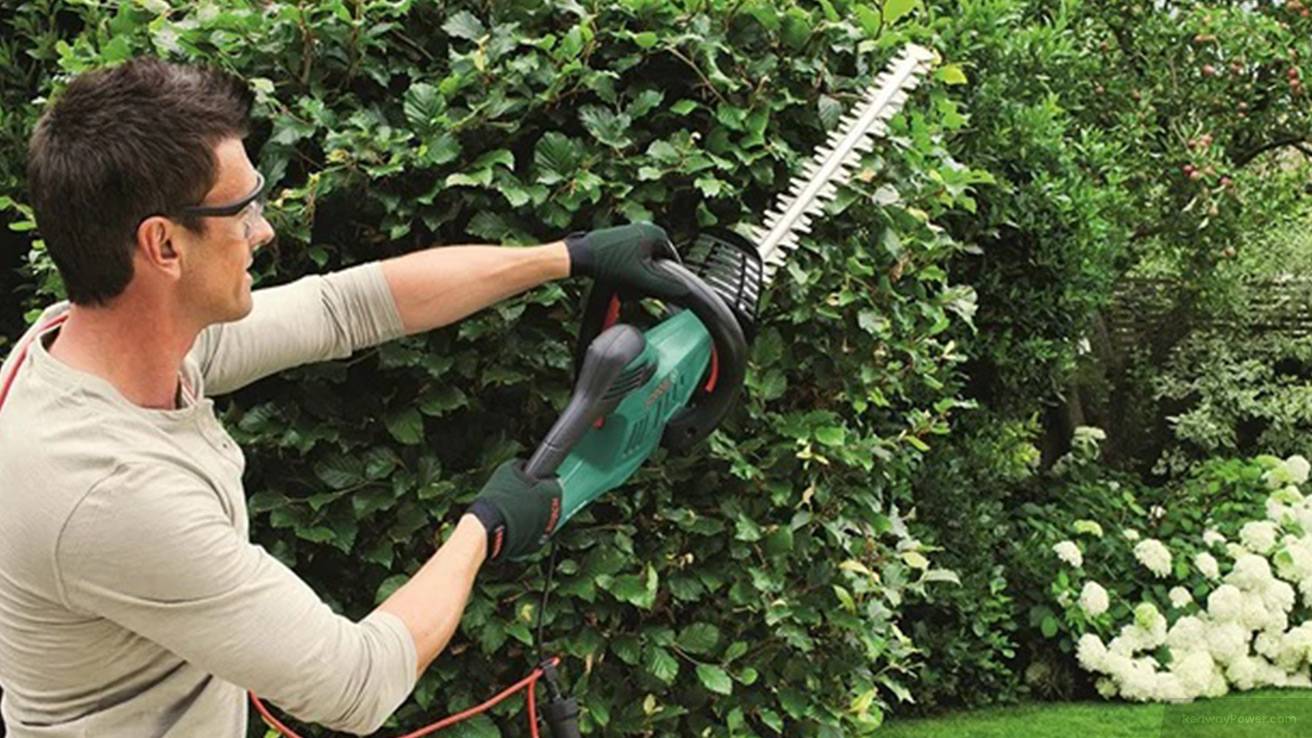 Cost comparison between corded and cordless hedge trimmers