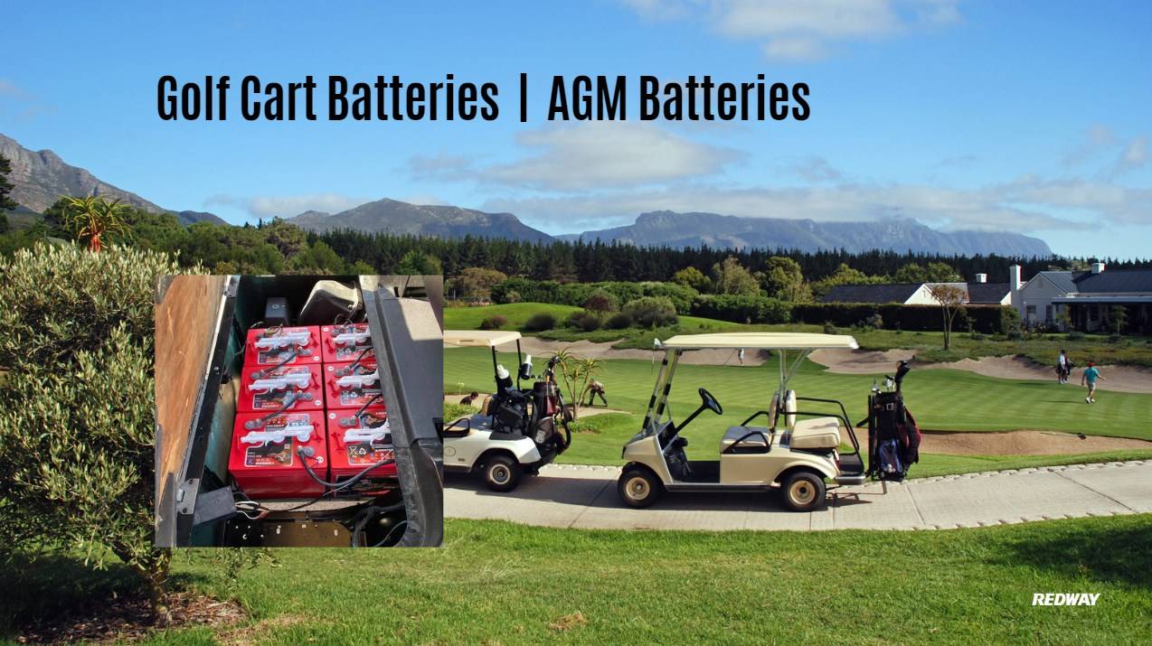 golf cart AGM (Absorbent Glass Mat) Batteries